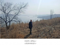 上    坟